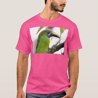 Camiseta Tocante azul