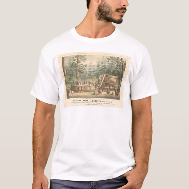 Camiseta Tocón del árbol gigantesco de Calaveras (0977A) (Anverso)