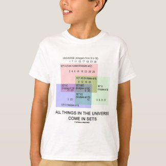 Camiseta Todas las cosas en el universo vienen en sistemas