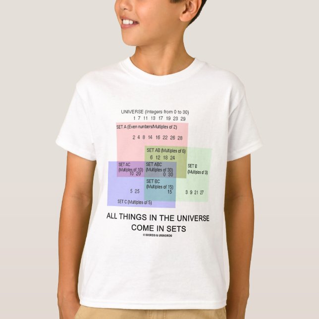 Camiseta Todas las cosas en el universo vienen en sistemas (Anverso)