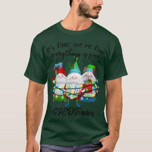Camiseta Todo está bien Educación Especial Profesora de VEL