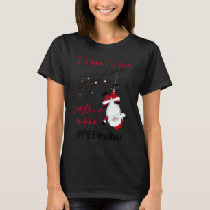 Camiseta Todo Está Bien Educación Física E Profesor C