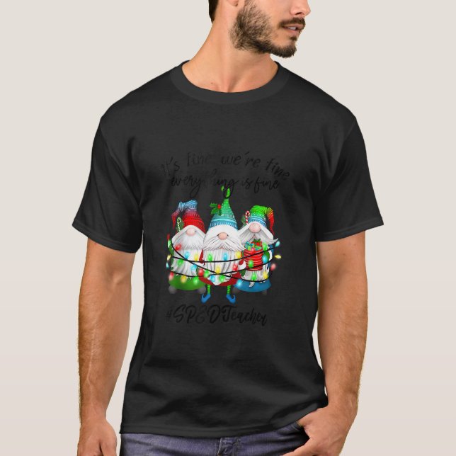 Camiseta Todo está bien, profesor de educación especial (Anverso)