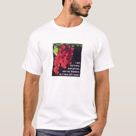 Camiseta Todo lo que necesito (camiseta ligera)