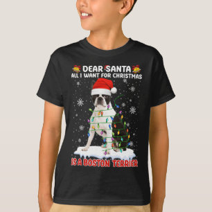 Camiseta Todo Lo Que Quiero De Los Navidades Es Boston Terr