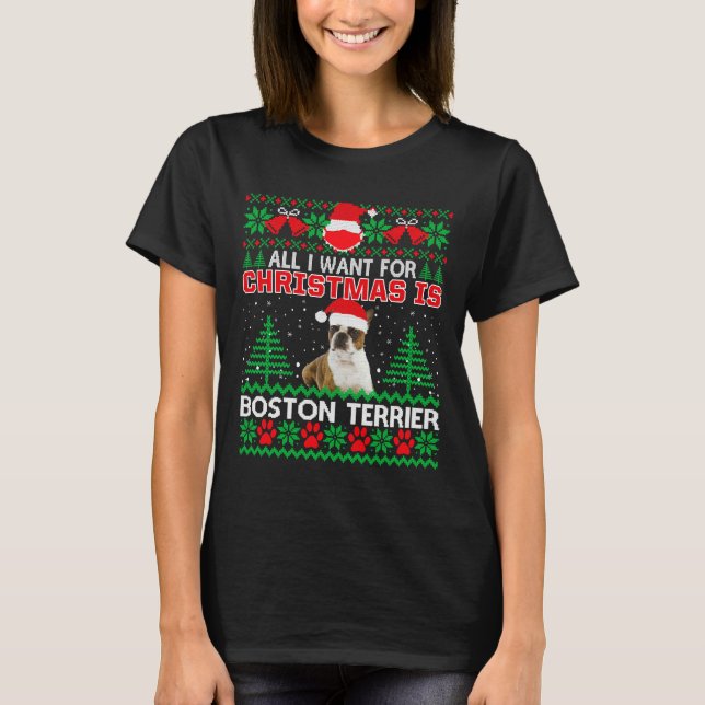 Camiseta Todo Lo Que Quiero De Los Navidades Es La Diversió (Anverso)