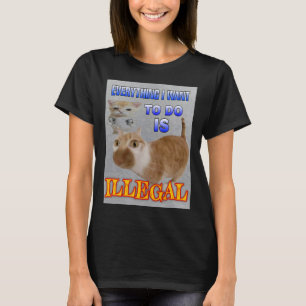 Camiseta Todo lo que quiero hacer son mujeres memes ilegale
