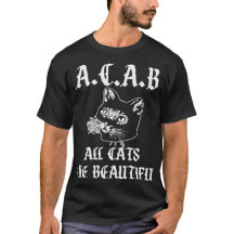 Todos los gatos son hermosos