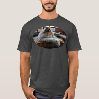 Camiseta todos los gatos son hermosos