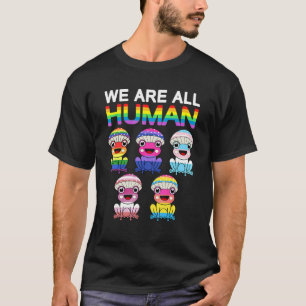 Camiseta Todos Somos Gay Bandera De Lgbt Humano Rana Arcoir