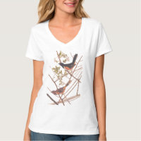 Toque para revolver a las aves negras y Naranjas