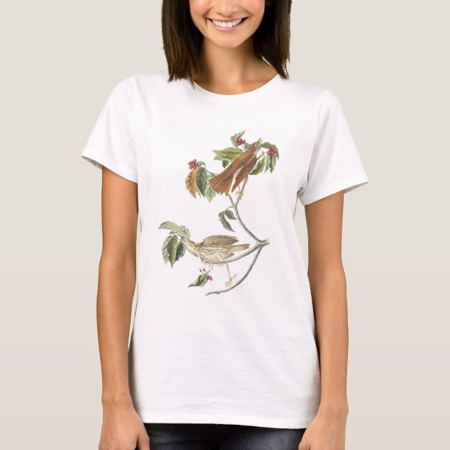 Camiseta Tordo de madera por Audubon (Anverso)