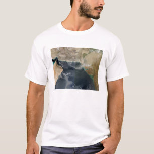 Camiseta Tormentas del polvo