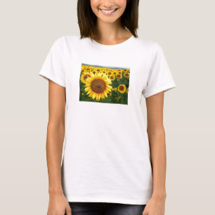 Camiseta Torneo de verano de Sunflower