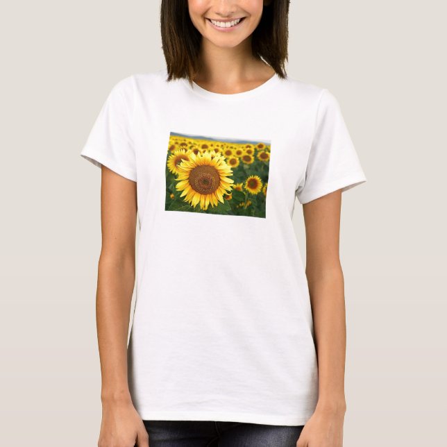 Camiseta Torneo de verano de Sunflower (Anverso)