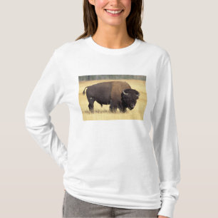 Camiseta Toro de bisonte en Yellowstone National