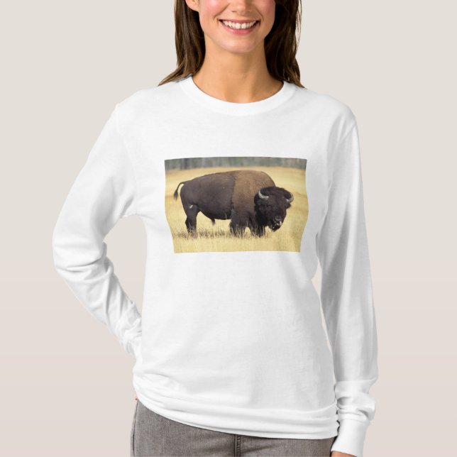 Camiseta Toro de bisonte en Yellowstone National (Anverso)