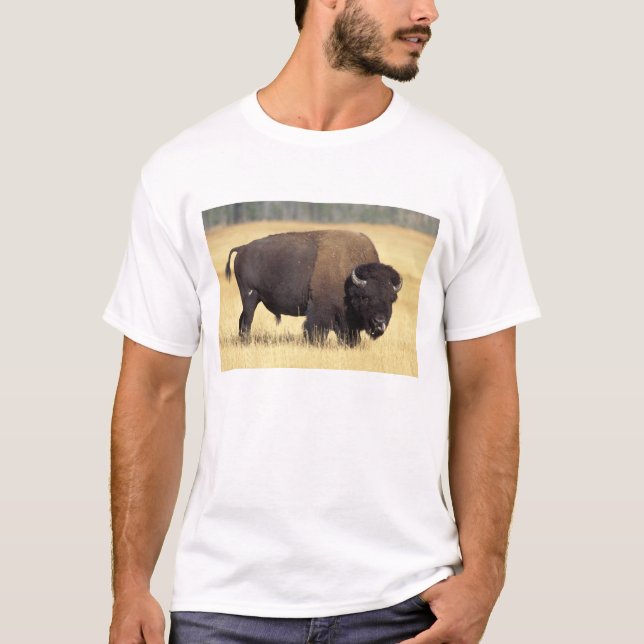 Camiseta Toro de bisonte en Yellowstone National (Anverso)