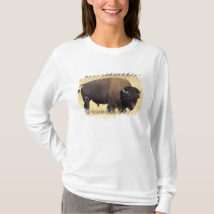 Camiseta Toro de bisonte en Yellowstone National
