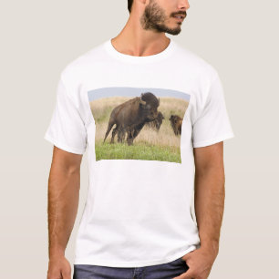 Camiseta Toro de bisonte joven fogoso en Tallgrass