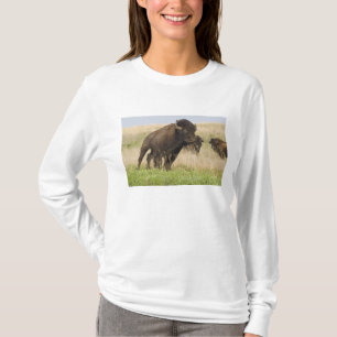Camiseta Toro de bisonte joven y fogoso en Tallgrass
