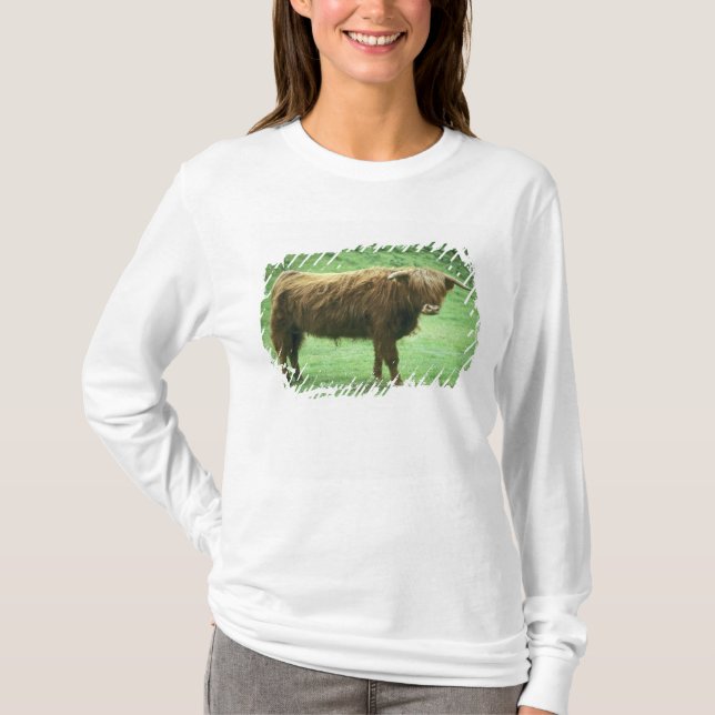 Camiseta Toro de las Tierras Altas, Isla de Mull, Interior (Anverso)