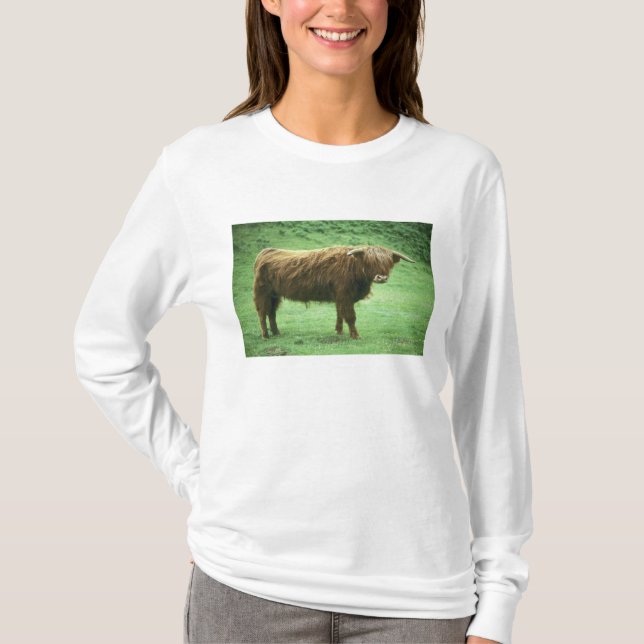 Camiseta Toro de las Tierras Altas, Isla de Mull, Interior (Anverso)
