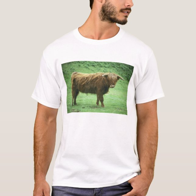 Camiseta Toro de las Tierras Altas, Isla de Mull, Interior (Anverso)