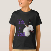 Toro Terrier