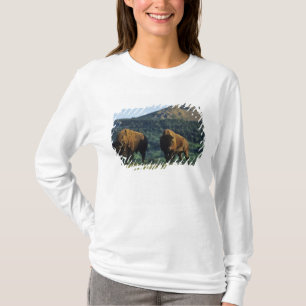 Camiseta Toros de bisonte en el Parque Nacional Waterton La