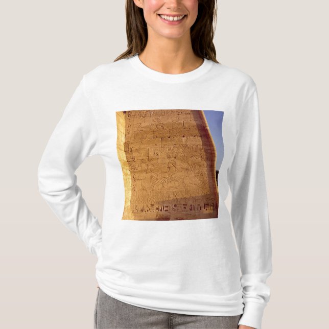 Camiseta Toros salvajes de búsqueda de Ramesses III (Anverso)