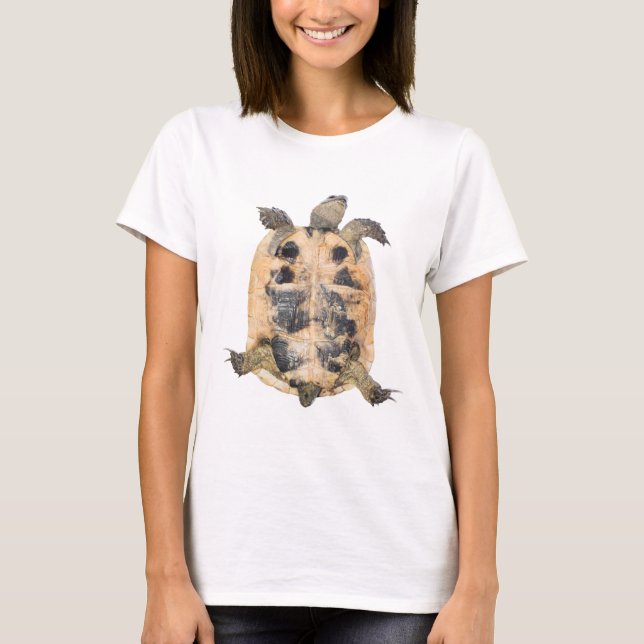 Camiseta Tortoise (Anverso)