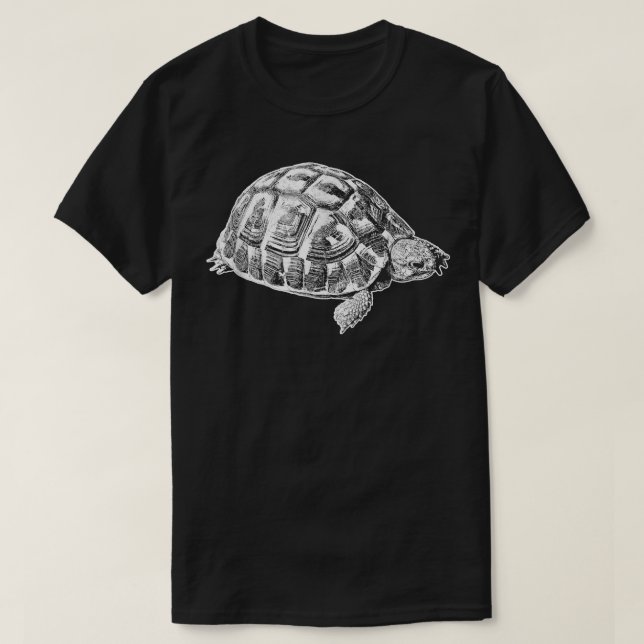 Camiseta Tortoise de Hermann  (Diseño del anverso)