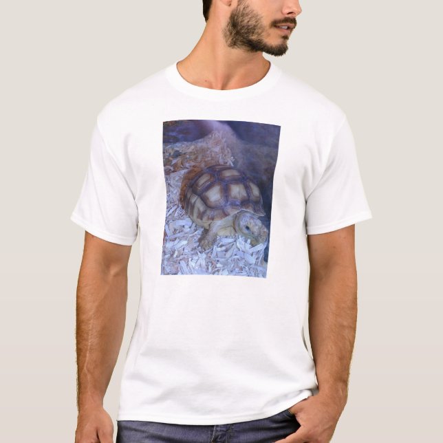 Camiseta Tortuga (Anverso)