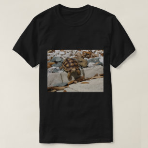 Camiseta Tortuga