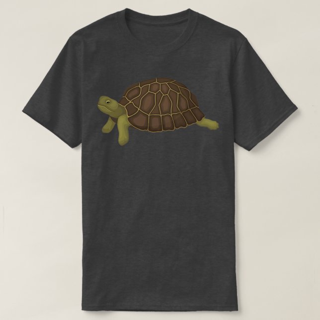 CAMISETA TORTUGA 26 (Diseño del anverso)