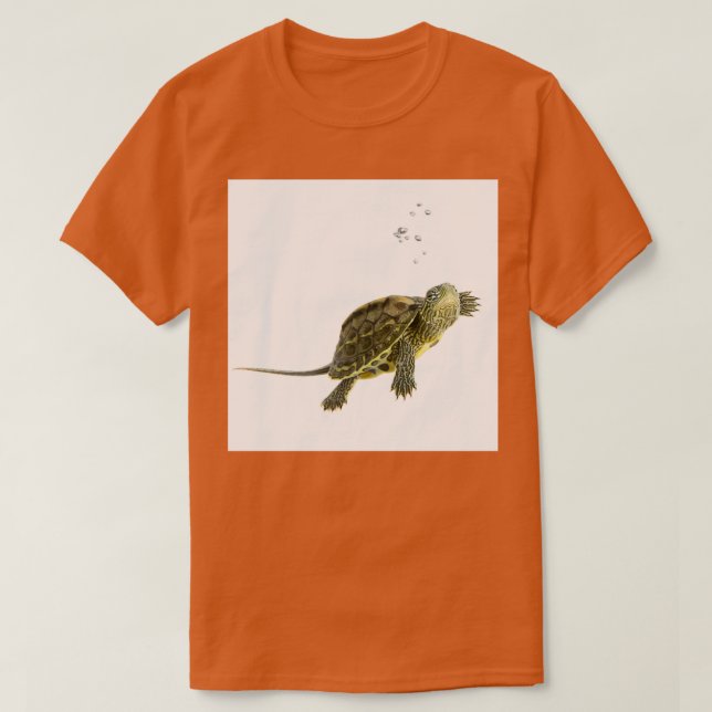 Camiseta Tortuga 3 (Diseño del anverso)