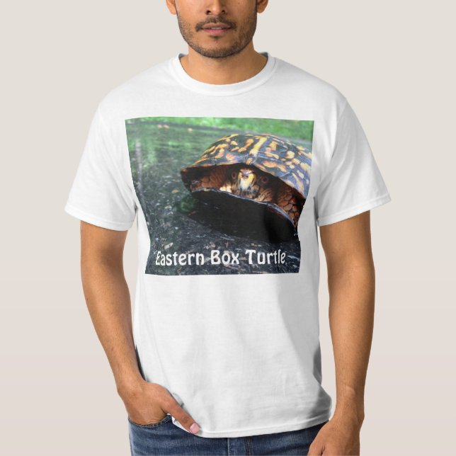 Camiseta Tortuga de caja (Anverso)