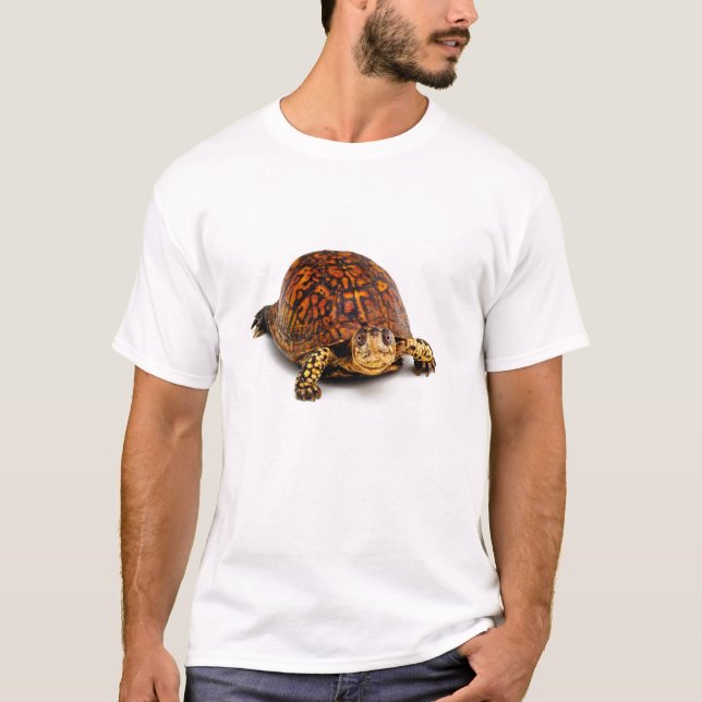 Camiseta Tortuga de caja (Anverso)