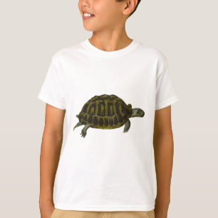 Camiseta Tortuga de caja