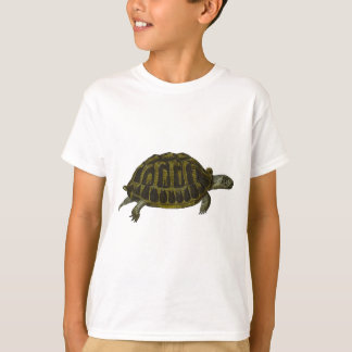 Camiseta Tortuga de caja