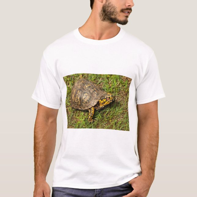 Camiseta Tortuga de caja macho de ojos rojos (Anverso)
