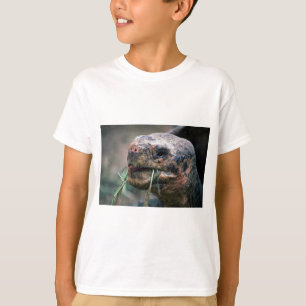 Camiseta Tortuga de las Islas Galápagos, islas de las Isla