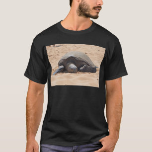 Camiseta Tortuga de mar