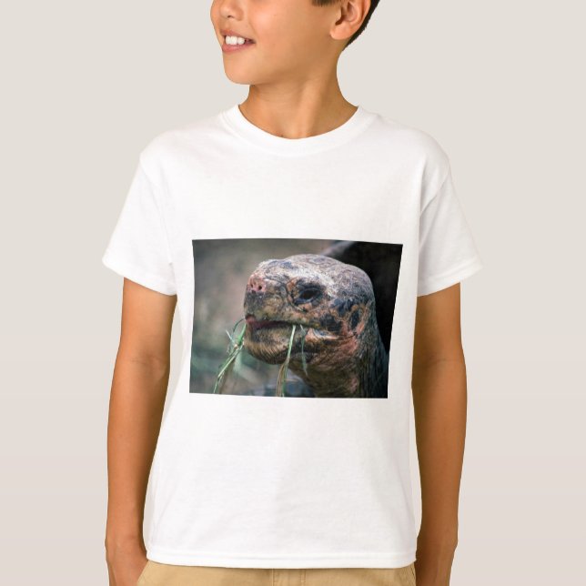 Camiseta Tortuga Galápagos, Islas Galápagos (Anverso)