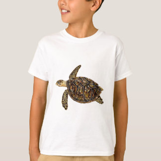 Camiseta Tortuga imbricata
