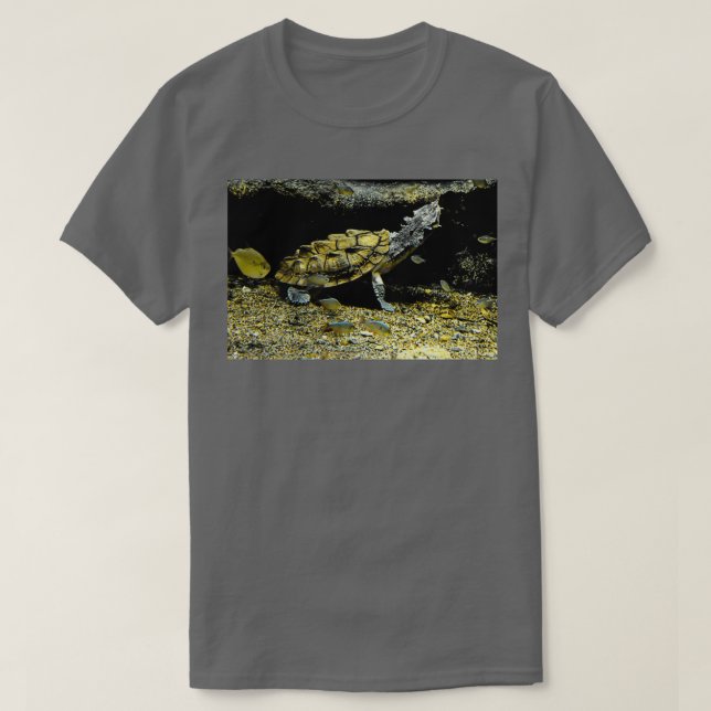 Camiseta Tortuga Mata Mata (Diseño del anverso)