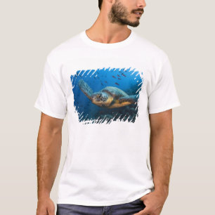 Camiseta Tortuga negra (verde) (Chelonia agassizi)
