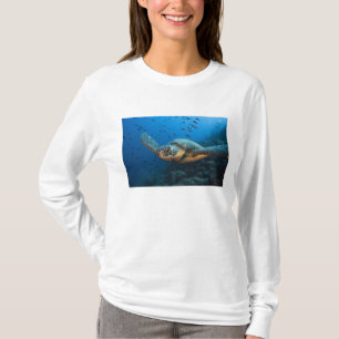 Camiseta Tortuga negra (verde) (Chelonia agassizi)