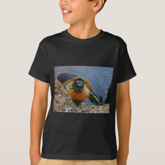 Camiseta Tortuga pintada